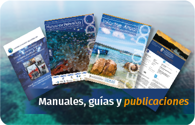 Manuales, guías y publicaciones